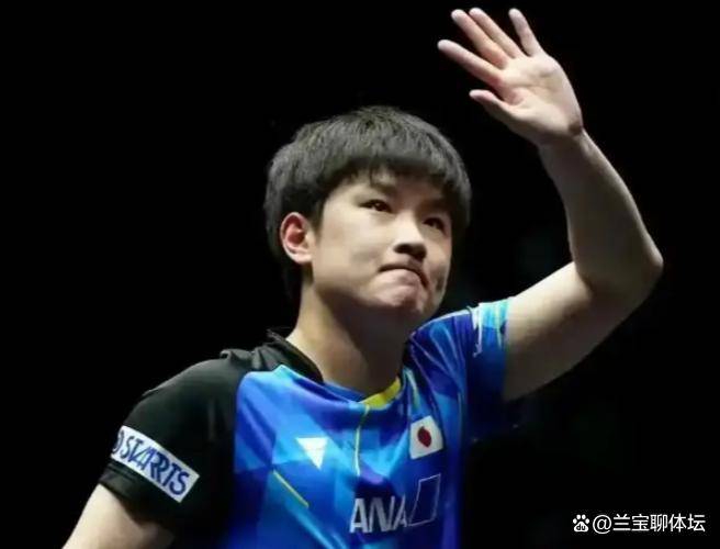 关于波兰队完胜韩国队,张本智和扛起全队的信息 关于波兰队完胜韩国队,张本智和扛起全队的信息