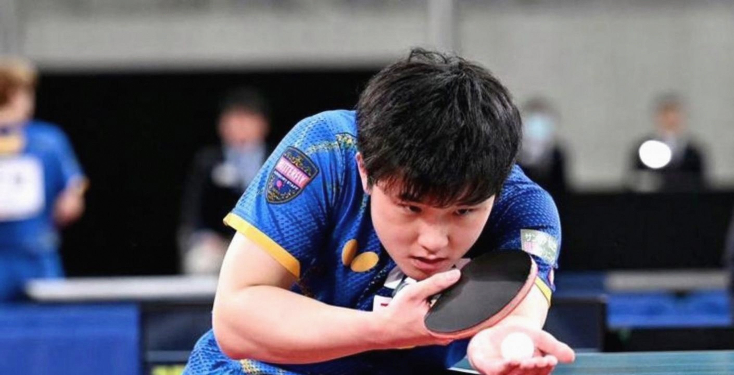 韩国队力克法国队，张本智和惊艳四座的简单介绍